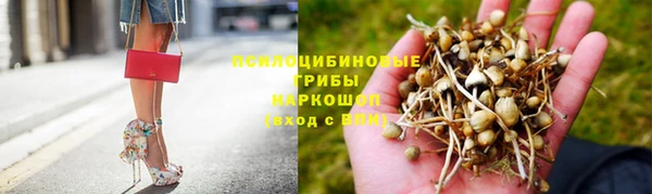 герыч Зеленокумск