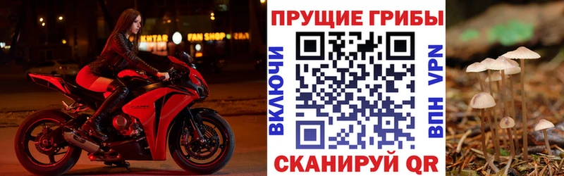 Купить закладки  Ленинск-Кузнецкий  Псилоцибиновые грибы ЛСД 